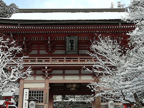 占い師feelのお気に入り写真2